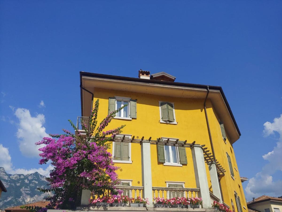 Appartamenti Baia Azzurra 6. 托尔博莱 外观 照片